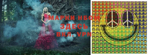 молекула духа Алексин