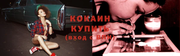 молекула духа Алексин