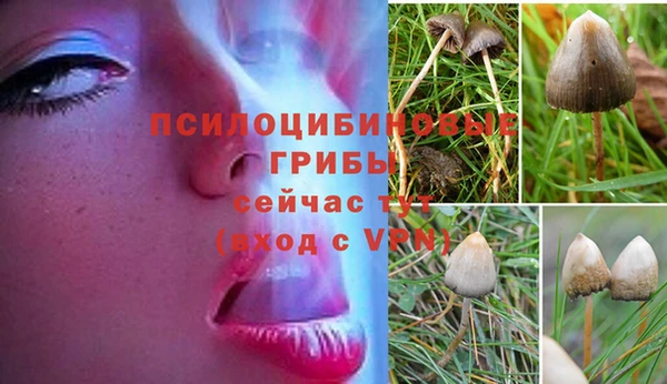 ECSTASY Алексеевка