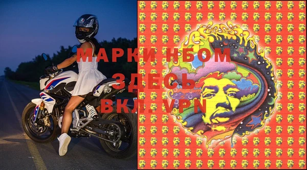 молекула духа Алексин