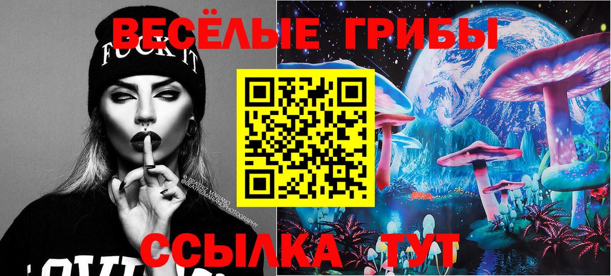 Галлюциногенные грибы прущие грибы  Галлюциногенные грибы MAGIC MUSHROOMS  Заводоуковск  Вход с VPN 