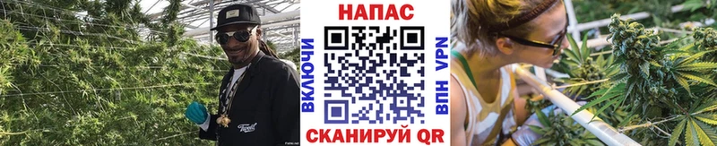 Шишки марихуана VHQ  где найти наркотики  Заводоуковск 